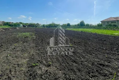 Casă 4 camere Arad - poza 14