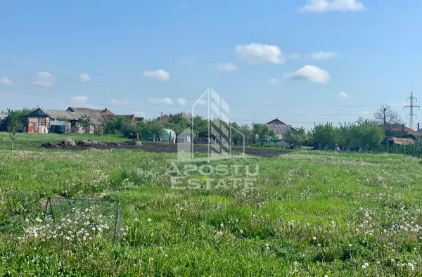 Casă 4 camere Arad - poza 16