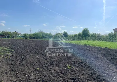Casă 4 camere Arad - poza 18