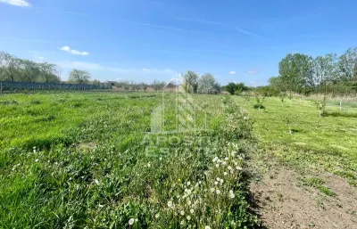 Casă 4 camere Arad - poza 19