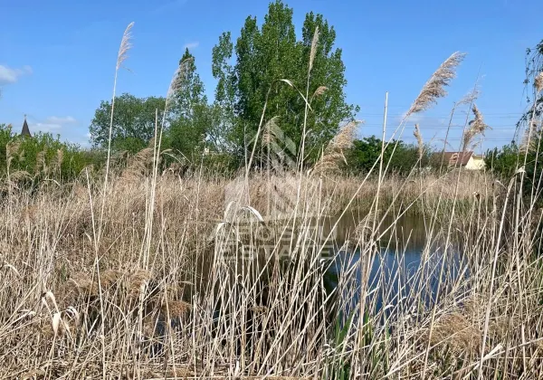 Casă 4 camere Arad - poza 20