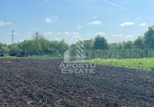 Casă 4 camere Arad - poza 21