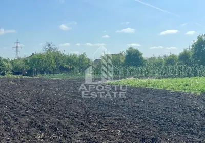 Casă 4 camere Arad - poza 21