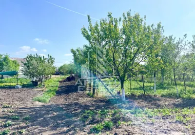 Casă 4 camere Arad - poza 22