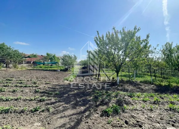 Casă 4 camere Arad - poza 23