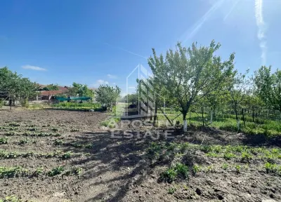 Casă 4 camere Arad - poza 23