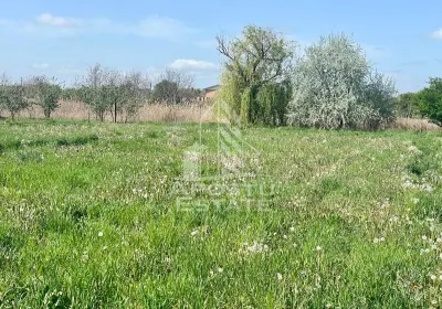 Casă 4 camere Arad - poza 24