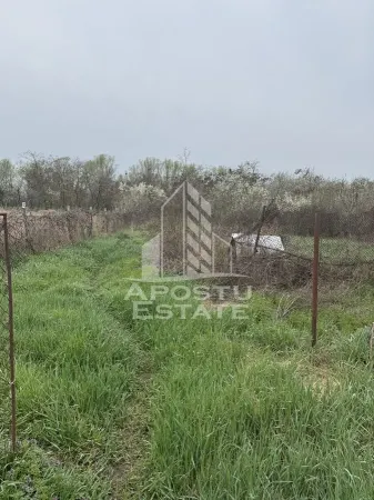 Casă 5 camere Remetea Mare - poza 12