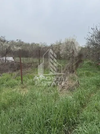Casă 5 camere Remetea Mare - poza 13