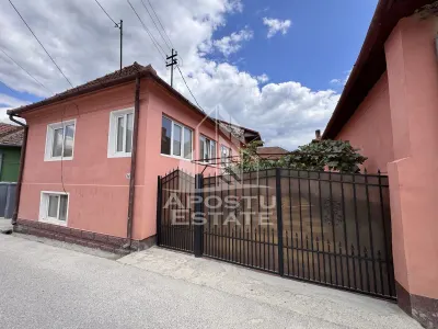 Casă 12 camere Salasu de Jos - poza 2