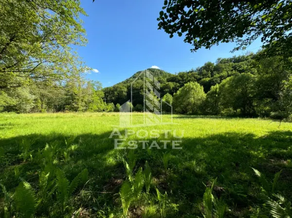 Teren Gros - poza 2