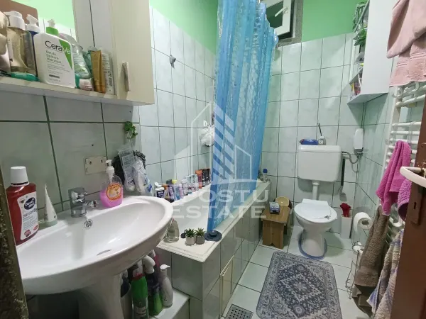 Apartament 4 camere Timișoara - poza 12