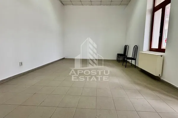 Birou Arad - poza 4