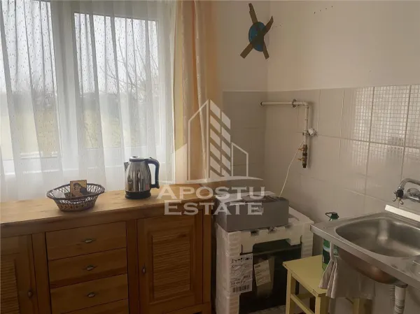 Casă 4 camere Remetea Mare - poza 19