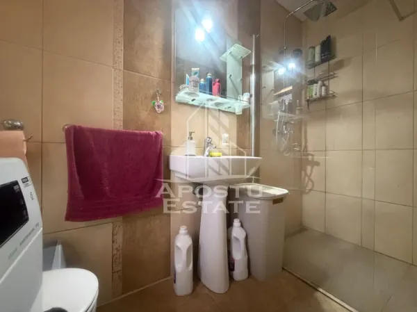 Casă 5 camere Sânandrei - poza 10