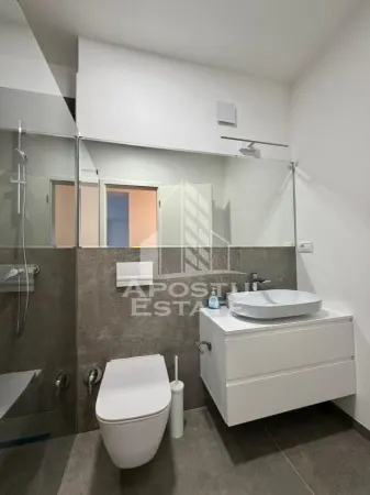 Apartament 2 camere Dumbrăvița - poza 9
