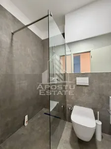 Apartament 2 camere Dumbrăvița - poza 10