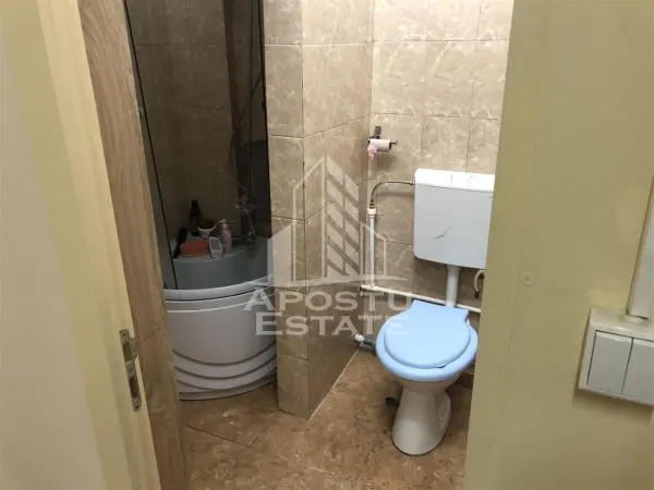 Spațiu comercial Timișoara - poza 7
