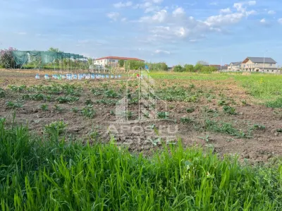 Casă 3 camere Giarmata - poza 5