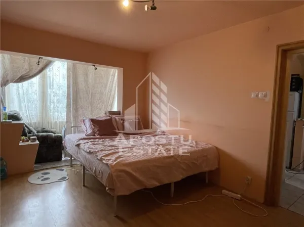 Apartament 1 camera Timișoara - poza 3