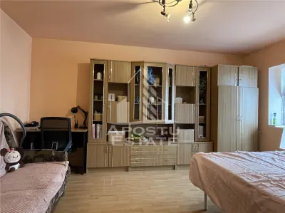 Apartament 1 camera Timișoara - poza 5
