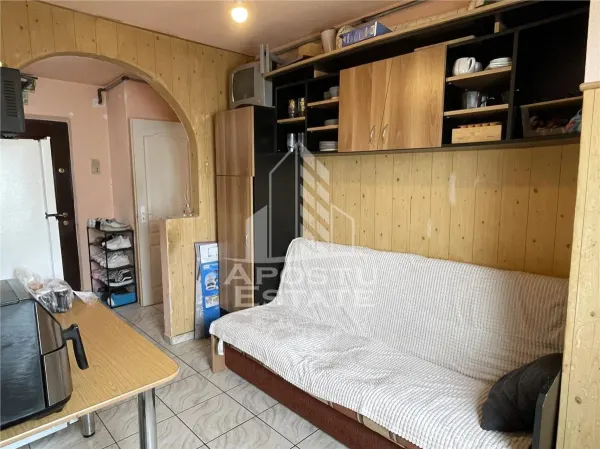 Apartament 1 camera Timișoara - poza 9