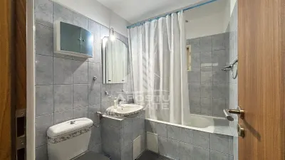 Apartament 3 camere Timișoara - poza 11