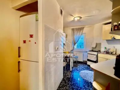 Apartament 3 camere Timișoara - poza 10