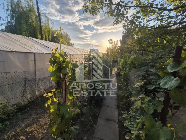 Apartament 4 camere Giarmata - poza 9