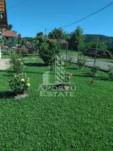 Casă 2 camere Terova - poza 8