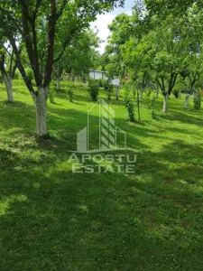 Casă 2 camere Terova - poza 9