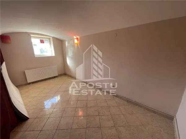 Spațiu comercial Timișoara - poza 3
