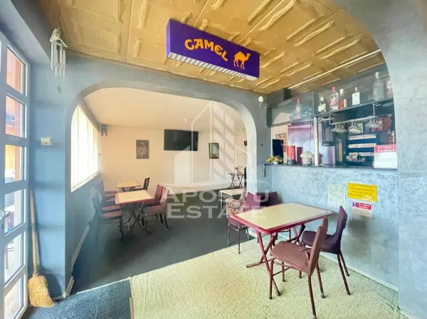 Casă 6 camere Arad - poza 2