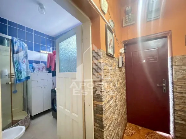 Casă 6 camere Arad - poza 20