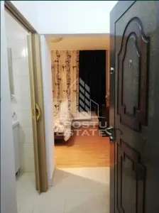 Apartament 1 camera Timișoara - poza 3