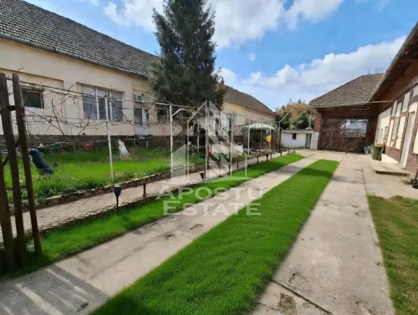 Casă 14 camere Sandra - poza 2