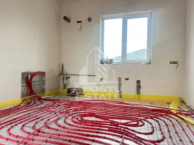 Casă 5 camere Sânandrei - poza 3