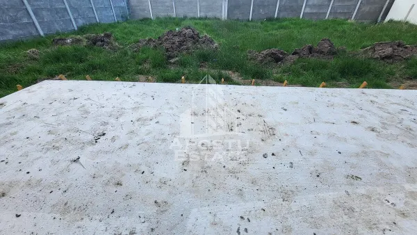 Casă 3 camere Covaci - poza 6