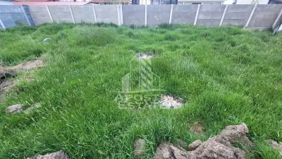 Casă 3 camere Covaci - poza 8