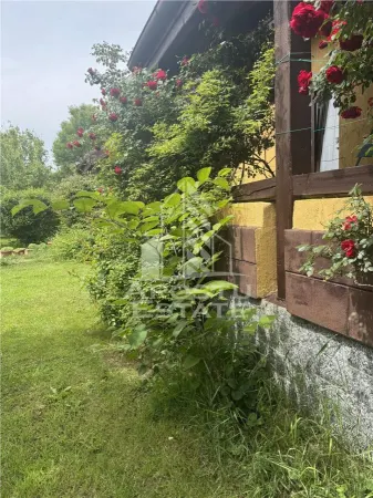 Casă 7 camere Ghiroda - poza 2