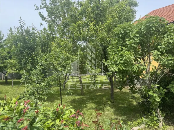 Casă 7 camere Ghiroda - poza 11