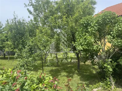 Casă 7 camere Ghiroda - poza 11