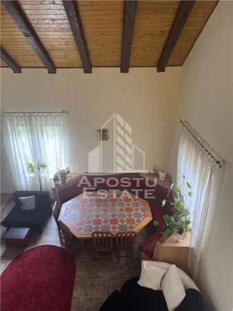 Casă 7 camere Ghiroda - poza 24