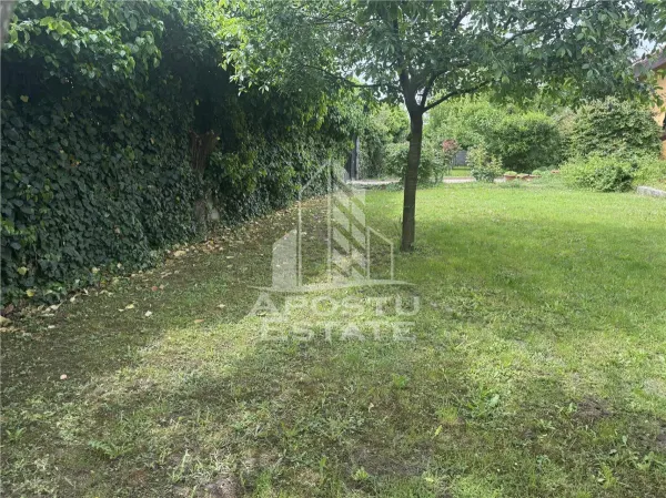 Casă 7 camere Ghiroda - poza 7