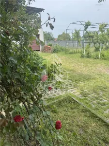 Casă 7 camere Ghiroda - poza 8