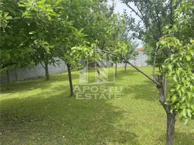 Casă 7 camere Ghiroda - poza 9