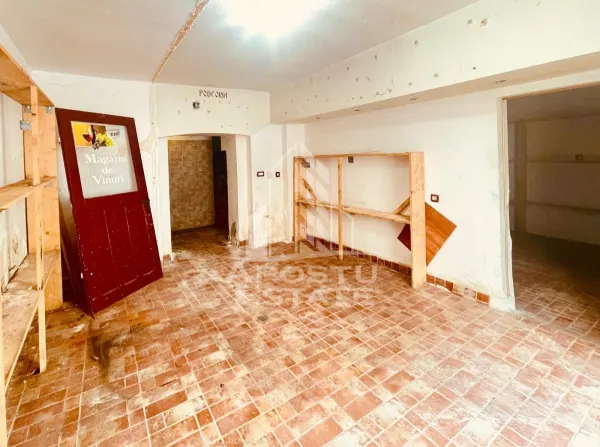 Spațiu comercial Arad - poza 4
