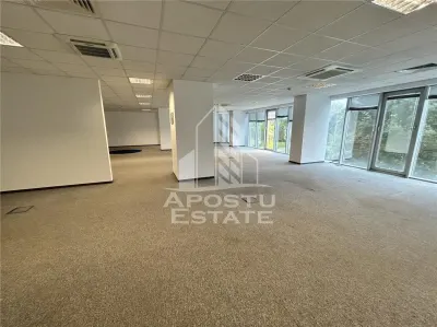 Birou Timișoara - poza 4