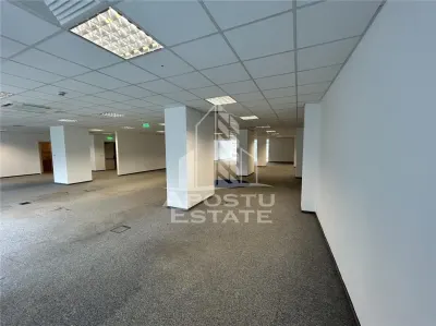 Birou Timișoara - poza 5