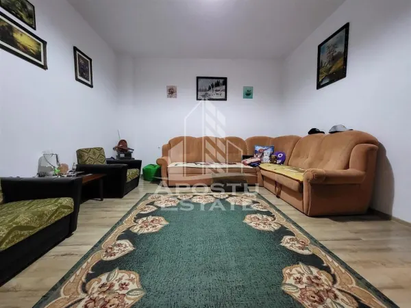 Apartament 2 camere Timișoara - poza 1